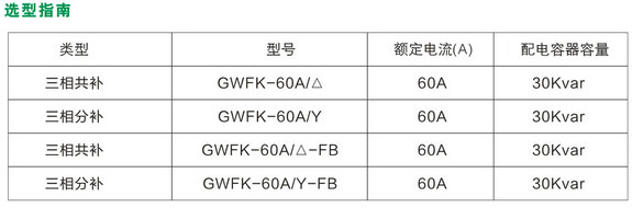 GWFK-60A܏ͺ_P(gun)̖f